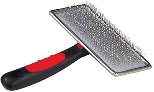 brosse pour chien et chat